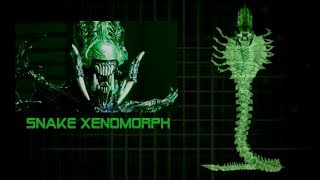 The Snake Xenomorph - Explained