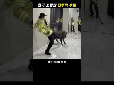 한국 소방관 전투력 수준