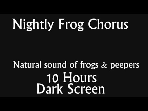 Nightly Frog (Peepers) Chorus - 10 Hours of Dark Screen | Natural Sound