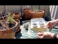 DSCC MWR Wellness Wednesday Get Garden Ready With Upcycle Hot Houses