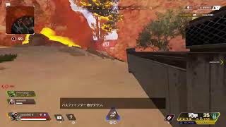 エイペックス2000ハンマーとりたいぬ（はぁと）＠初心者