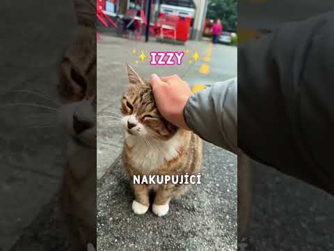 Koukni naše nové video s Lizzie 🐱❤️