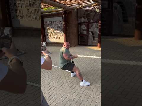 World's Strongest Man vs. Liger (@waynehowlettpl)