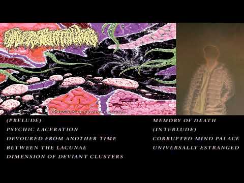 Universally Estranged | USA | 2022 | Dimension of Deviant Clusters | Full Album | Death Metal
