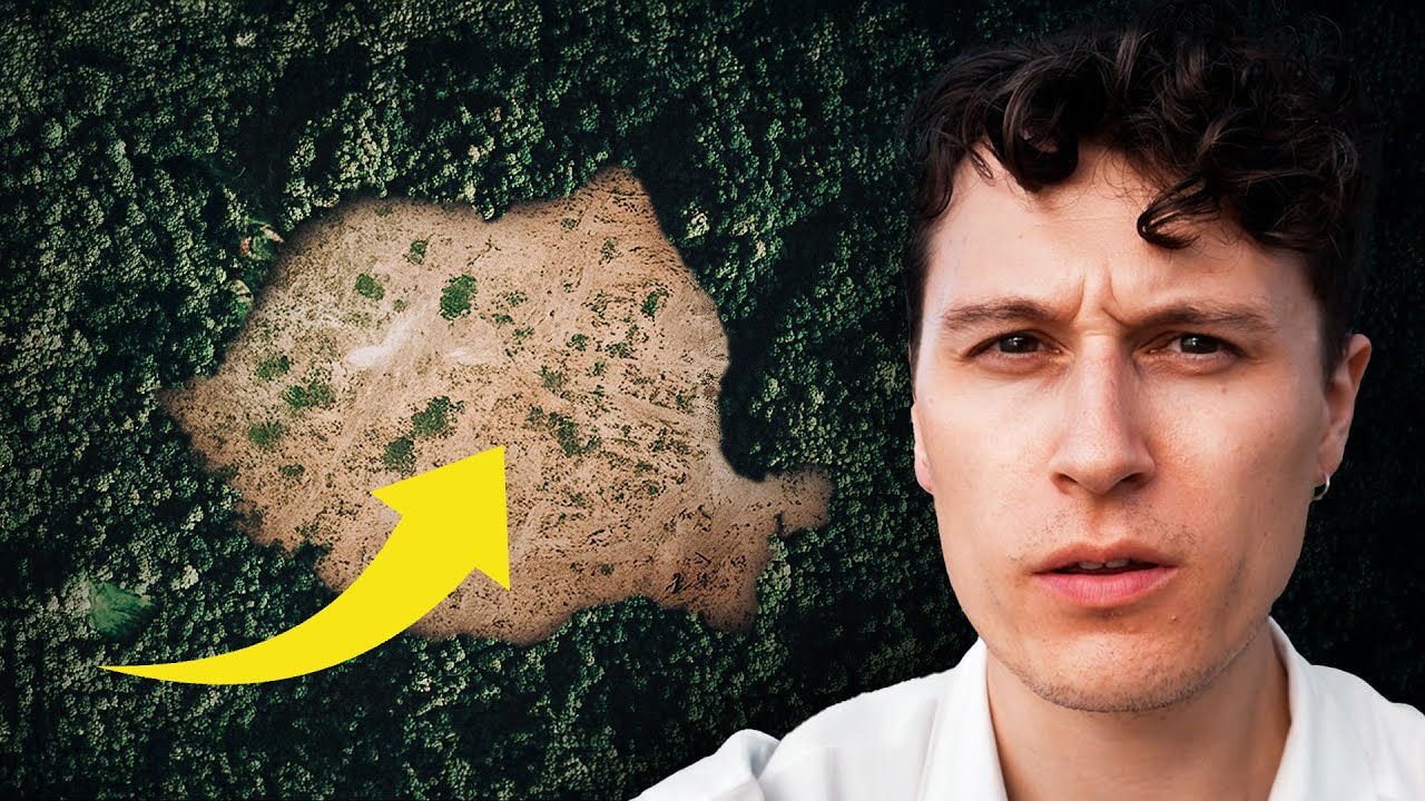 Europe's Stolen Forests