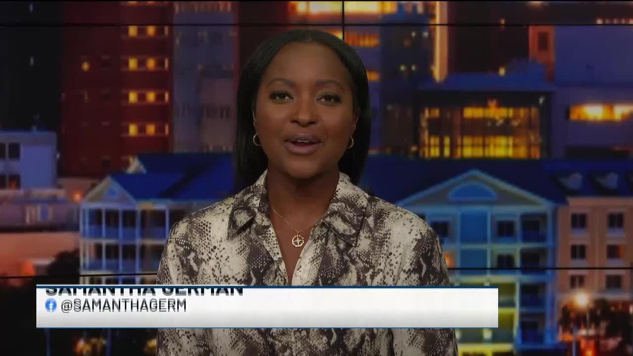 VIDEO: Lowcountry Food Bank hosts 5th annual ‘Walk to Fight Hunger’