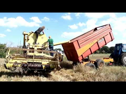 Harvest 2022 (part 3)