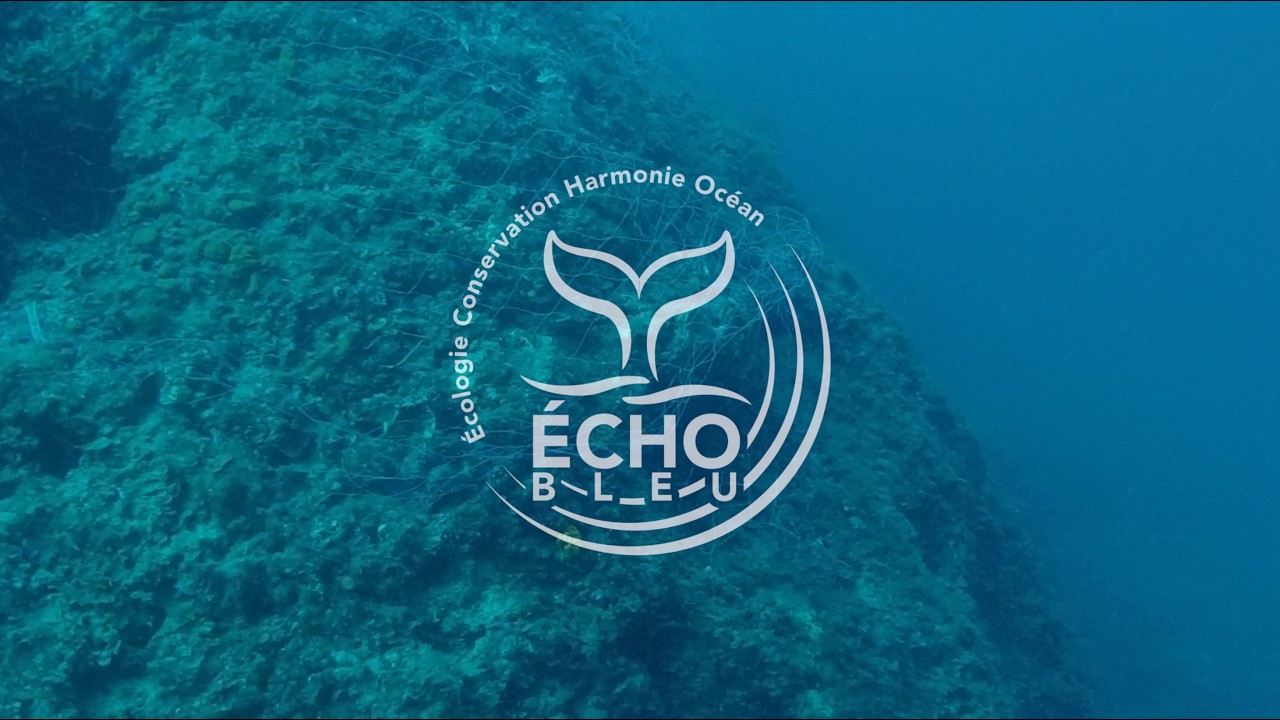 Filets fantômes : tombants et crevasses, les pièges oubliés