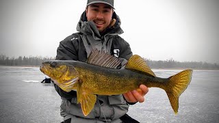 ICE FISHING for Shallow Walleye & Perch (My Favorite)