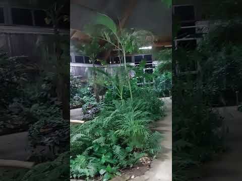 My little wonderland