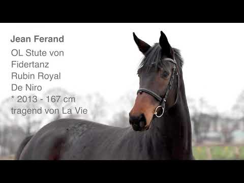 Fidertanz RubinRoyal DeNiro