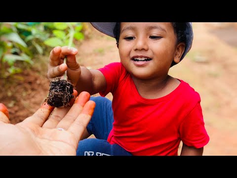WORLD ENVIRONMENTAL DAY | A DAY WITH NATURE Talal Abdulla
