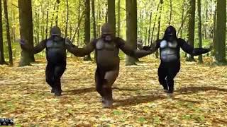 Download lagu gorila joget lagu sahur mp3