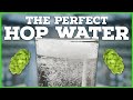 I finally created the BEST TASTING HOP WATER Recipe!