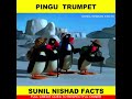 Pingu Trumpet Shorts