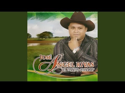 Homenaje a Mis Amigos