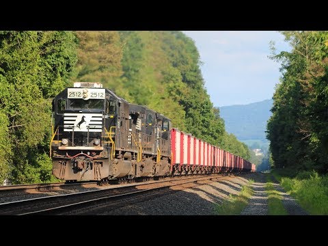 The Best Of The Rest! 2018 NS Railfanning: Part 2