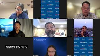 WRRC Webinar - Paving the Way: Optimizing Governance Mechanisms for Resilient Recovery | UNDRR