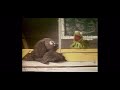 Rowlf And Kermit Create Sesame Street