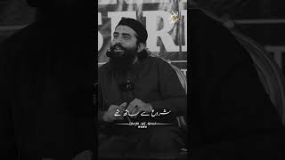 Download lagu Leader Hamesha Akela Hota Hai - Shaykh Atif Atif#Log #Leader #Shorts #ShaykhAtifAhmed mp3