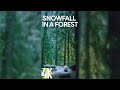 4K Snowfall In A Mysterious Forest For Vertical Screens 3 HRS White Noise For Sleep