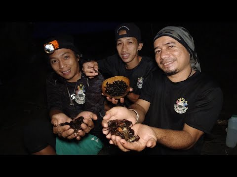 SE02EP51 Part 3 - Pang HUHULI ng TALANGKA / KATANG ( Hunt and Cook ) San Pablo City, Laguna