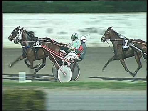 Trotto 25/11/2016 - 4ª corsa