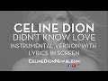 Celine Dion - Didn't Know Love - Instrumental ...