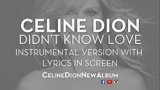 Celine Dion - Didn&#39;t Know Love - Instrumental Version