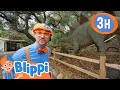 Giant Dinosaur Museum Blippi And Meekah Best Friend Adventures Educational Videos For Kids