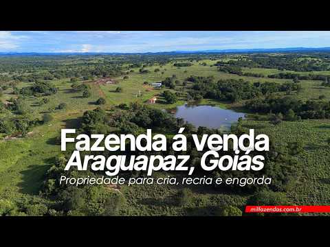 FAZENDA DE 1.858 HECTARES EM ARAGUAPAZ – GO | CRIA, RECRIA E ENGORDA #fazendaavenda #agro
