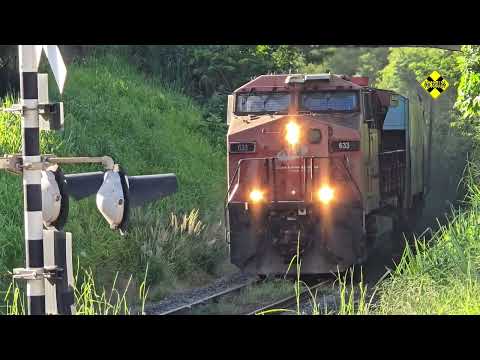 Trem Vencendo a Rampa de Cedral (SP) - Locomotivas em Aceleração Máxima com Mais de 100 vagões 