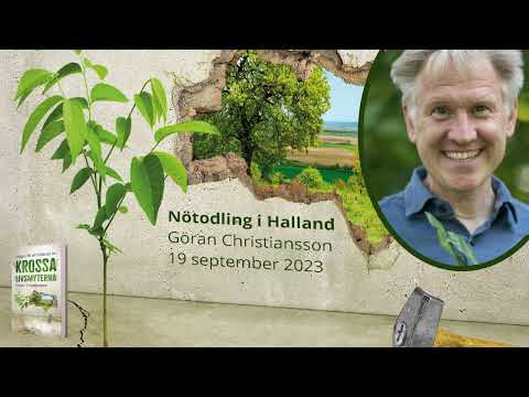 Nötträd - Stadsbiblioteket i Halmstad - Göran Christiansson