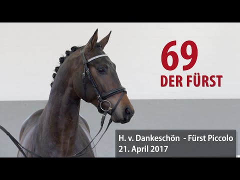 69  Der Fürst Hengst v. Dankeschön - Fürst Piccolo
