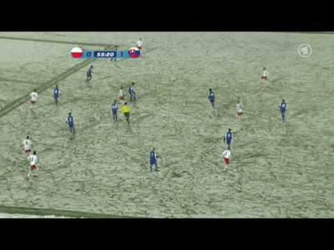 Poland - Slovakia World Cup 2010 qualification 14.10.2009