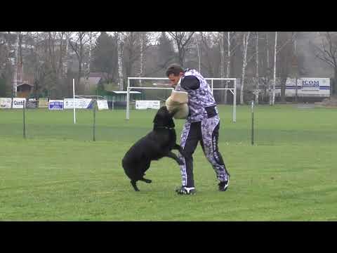 Svod NO 2017 - Barney Helipeky