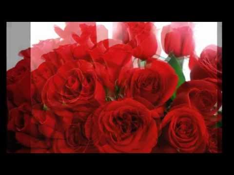 download lagu mp3 mp4 Choram As Rosas Bruno E Marrone, download mp3 Choram As Rosas Bruno E Marrone free downloadn, video klip Choram As Rosas Bruno E Marrone