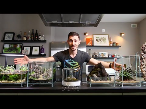 DOOA 20x20x20 Nano Aquascape Tutorial - STEP BY STEP Aquascaping Beginner Guide