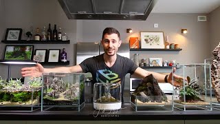 DOOA 20x20x20 Nano Aquascape Tutorial - STEP BY STEP Aquascaping Beginner Guide