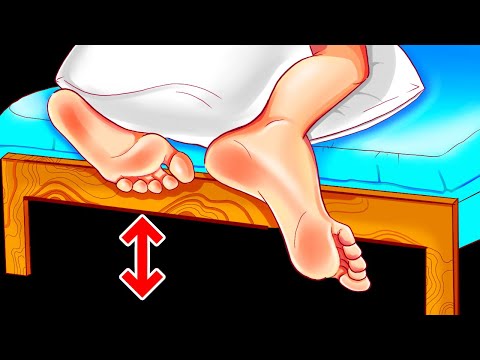 Warum Betten nicht am Boden liegen und 10+ interessante Fakten