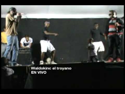WALDOKINC EN VIVO