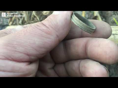 55# Wielkopolskie Wykopki/Kto rano wstaje temu pan Bóg daje/ 17th century coins