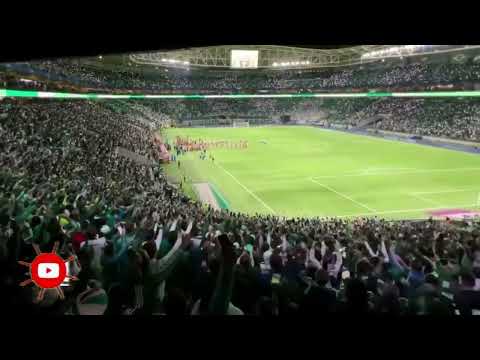 OLHA COMO FOI A ENTRADA DOS JOGADORES COM A TORCIDA NA CLASSIFICAÇÃO DA LIBERTADORES!