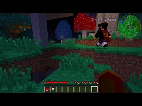 Primus Direwolf20 SMP 1 - Spawning into the First Night - Modded 1.7.10 Minecraft