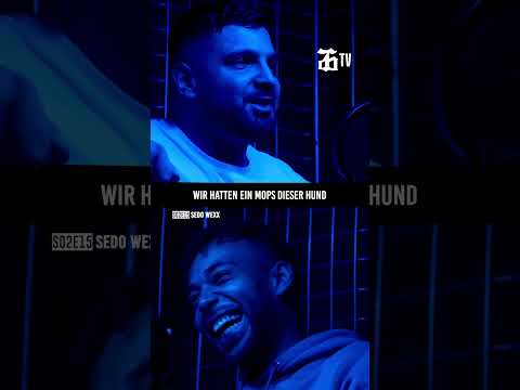 SEDO WEXX über Üb*rfall mit Mops 😂🔞 #26mintv #besuchszeit