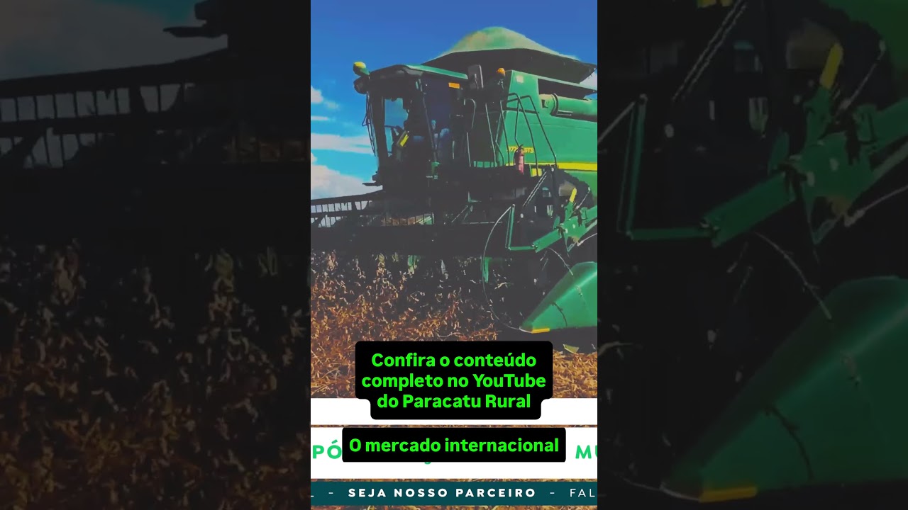 Dólar Alto Muda Tudo: O Que Esperar de Soja, Milho e Sorgo Agora?