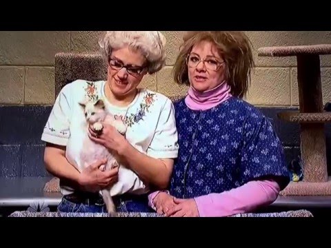 "Whiskers R We" SNL Melissa McCarthy 2/14/2016 (cats) (kittens) full screen
