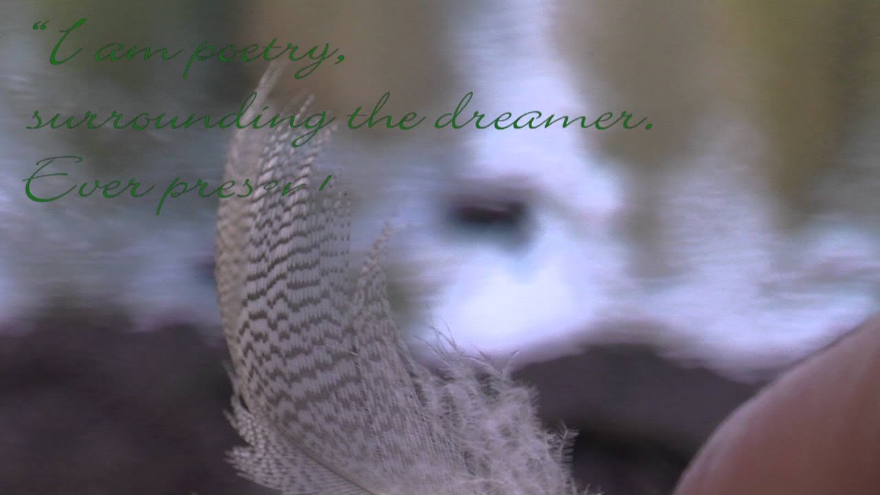 The Dreamer: A Visual Book Review