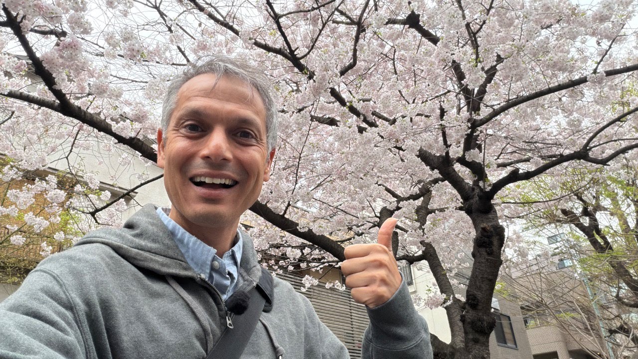 Tokyo Reaches FULL BLOOM, how long can the Cherry Blossoms stay?