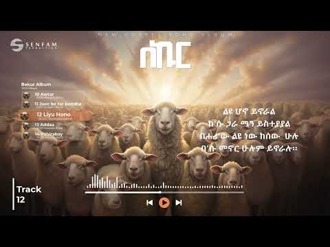 ሶዞ አኮስቲክ ባንድ - ልዩ ሆኖ || SOZO Acoustic Band - Liyu Hono (Official Audio)